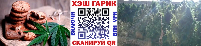 Еда ТГК конопля  Минеральные Воды 