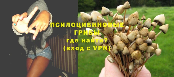 индика Аркадак