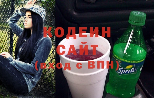 индика Аркадак