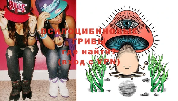 индика Аркадак