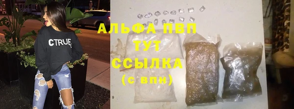 индика Аркадак