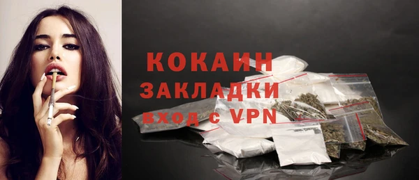 индика Аркадак