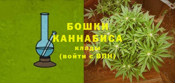 индика Аркадак