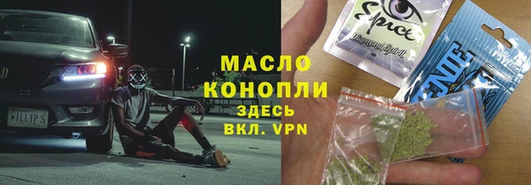 индика Аркадак