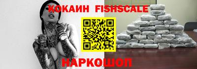 МДПВ Камышлов