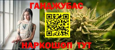 МДПВ Камышлов